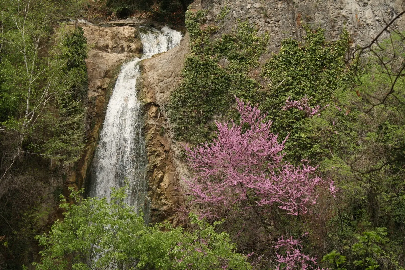 Nature