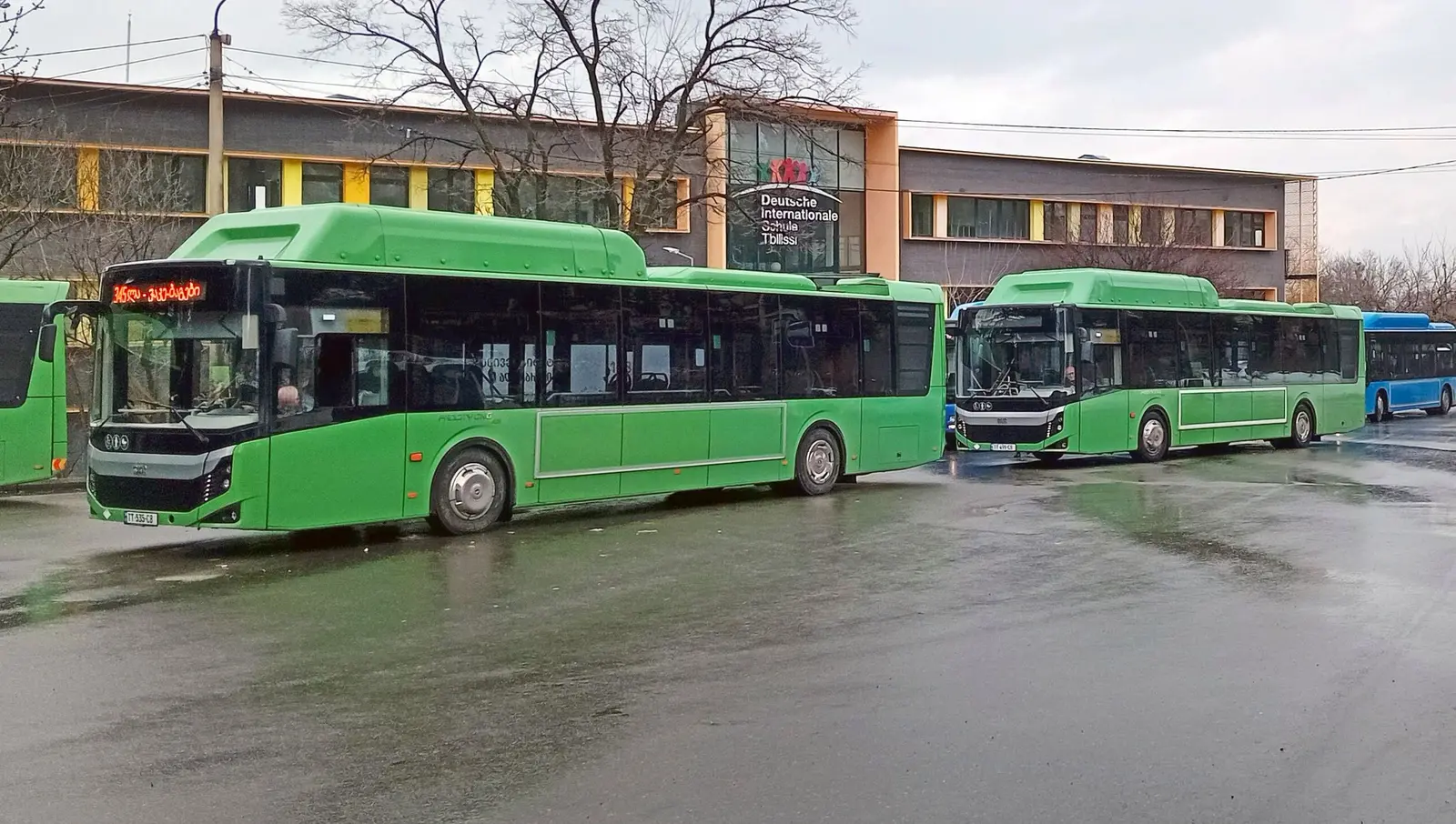 Bus